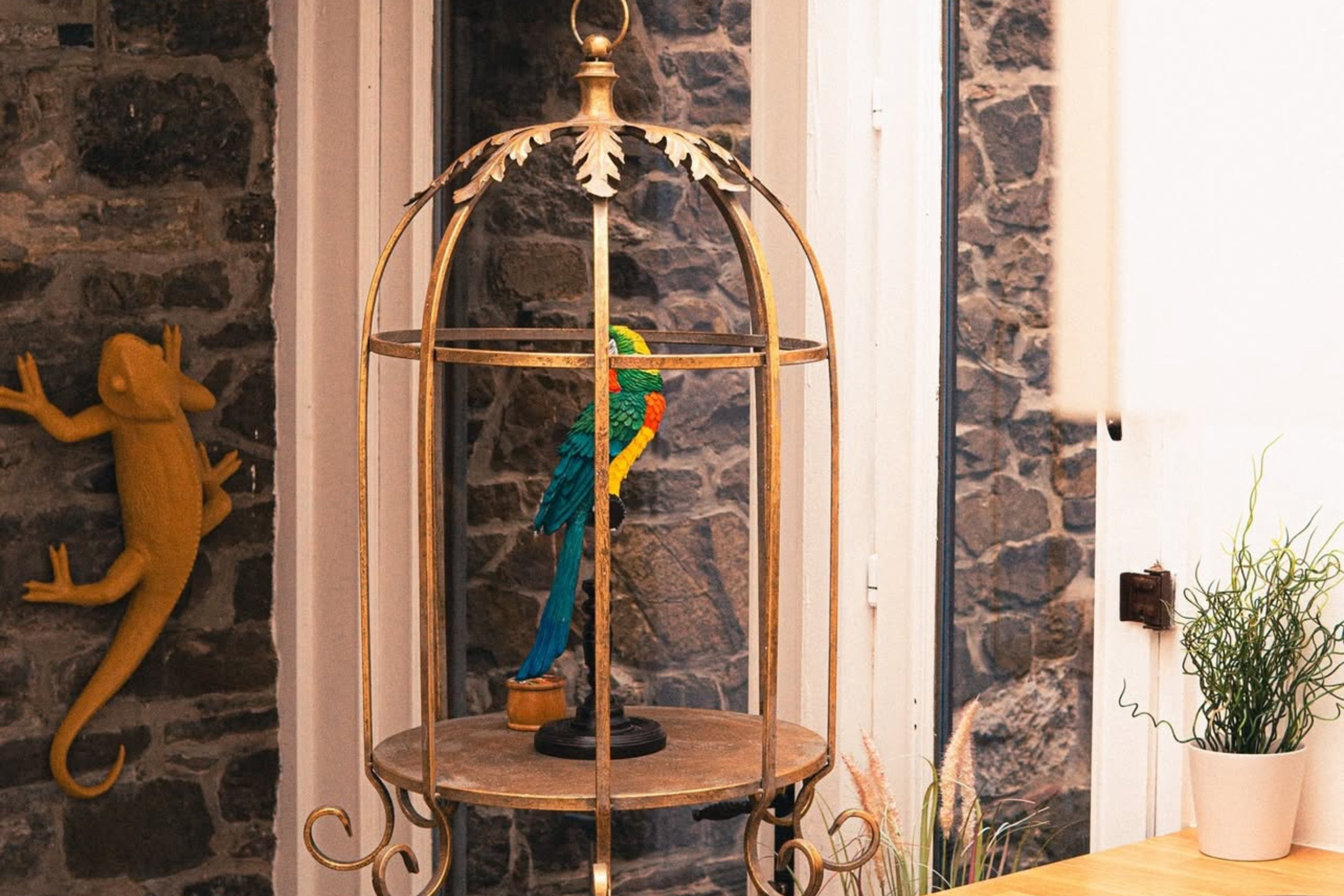 Bon cadeau – Séjour au "Costa Rica"